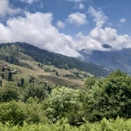 عکس یوله پیچ