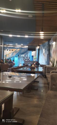 عکس مجموعه گل های داوودی ( پالم )