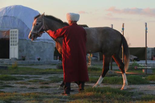 عکس مزرعه گردشگری اسب ترکمن 