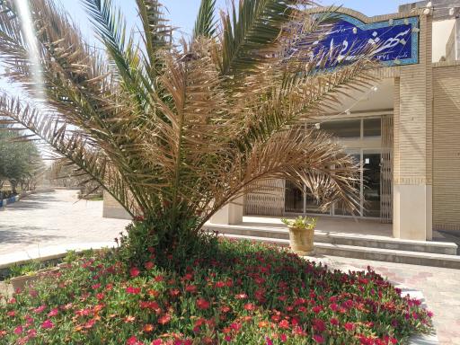 عکس شهرداری جندق