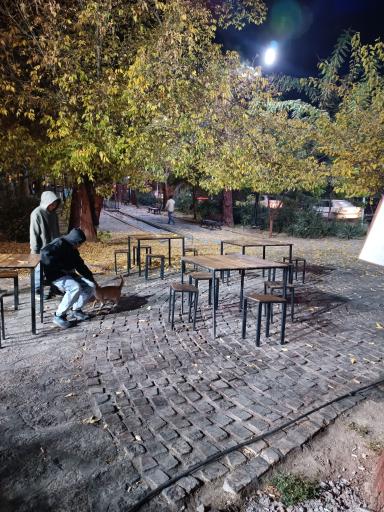 عکس مرغ سوخاری مملی