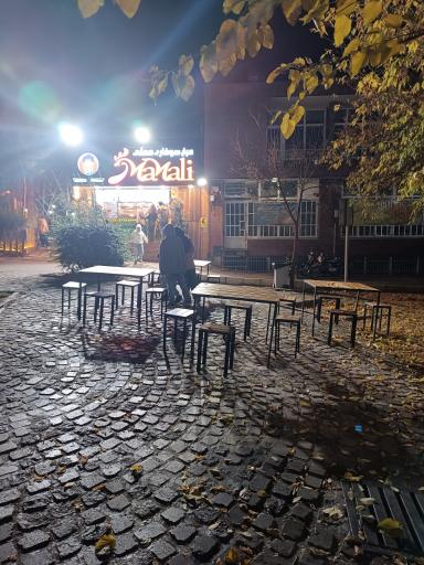 عکس مرغ سوخاری مملی