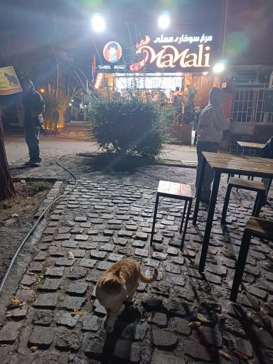 عکس مرغ سوخاری مملی