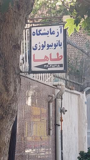عکس آزمایشگاه پاتوبیولوژی طاها