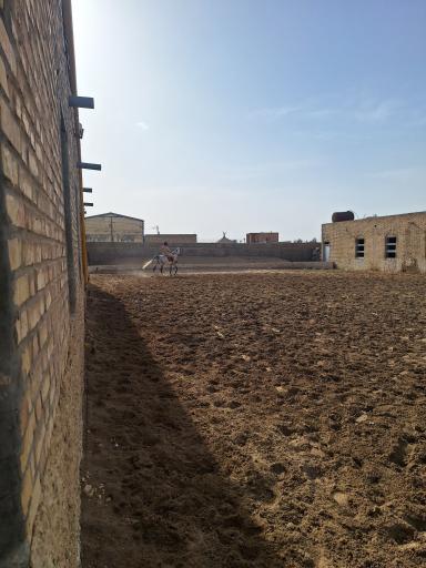 باشگاه سوارکاری هیون
