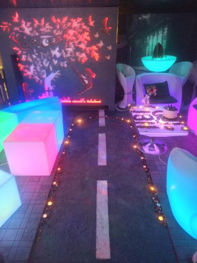 عکس کافه آنیل