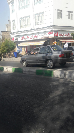 عکس یاران دریان شعبه ساقدوش