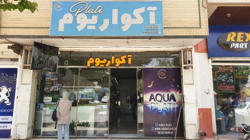عکس آکواریوم پلاتی