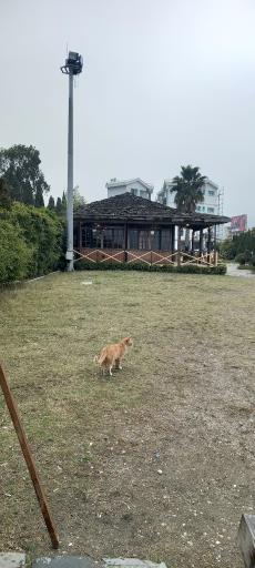 عکس هتل آپارتمان باروژ تنکابن