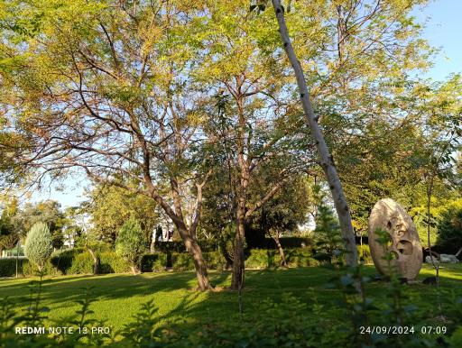 عکس بوستان امیریه