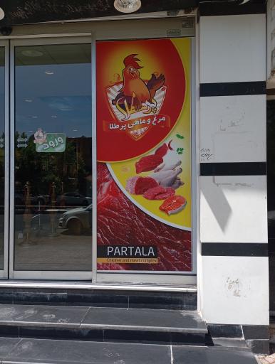 عکس مرغ پرطلا