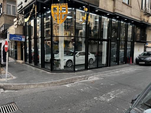 عکس اتو امیرزاده