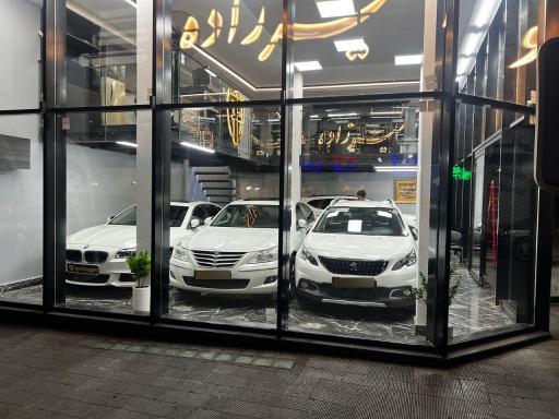 عکس اتو امیرزاده