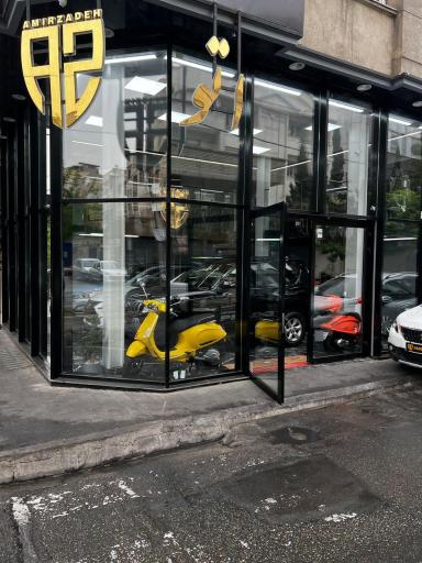 اتو امیرزاده