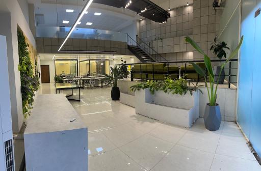 عکس شرک متزون