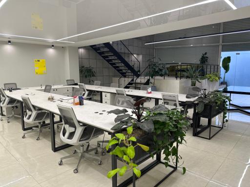 عکس شرک متزون