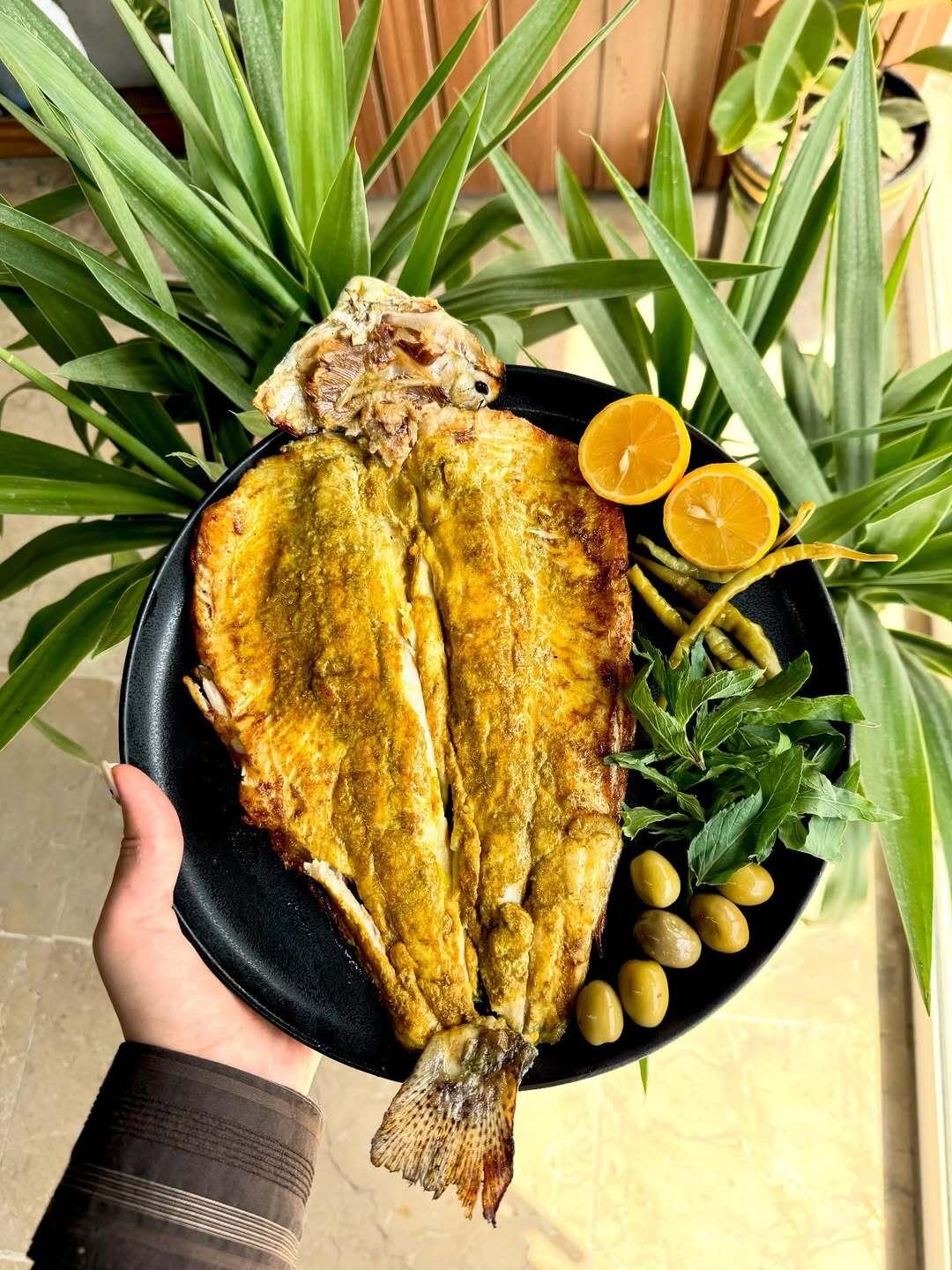 عکس دکتر مزه