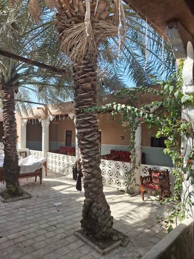 عکس بوم گردی ریما