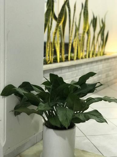 عکس فیزیوتراپی بهار شاهرود