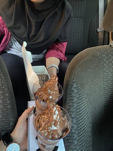 عکس سینا تلا