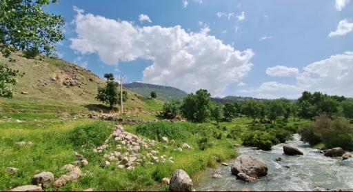 عکس رامهرمز