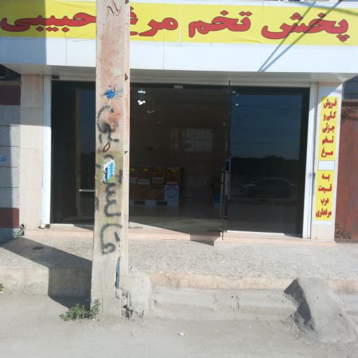 عکس دفتر توزیع و فروش تخم‌ مرغ حبیبی