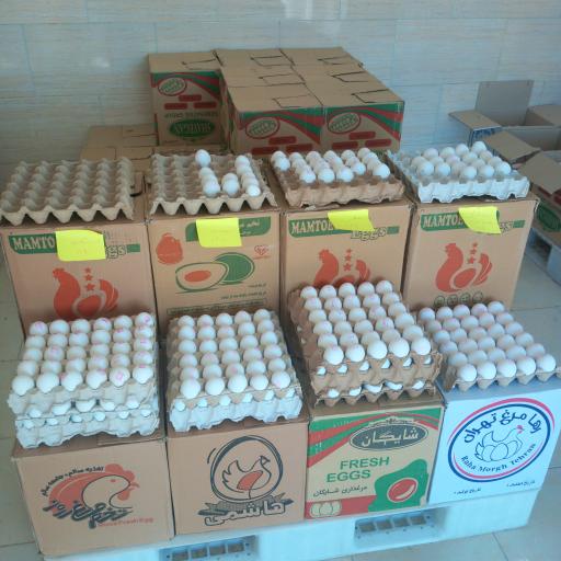 عکس دفتر توزیع و فروش تخم‌ مرغ حبیبی