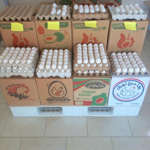 عکس دفتر توزیع و فروش تخم‌ مرغ حبیبی