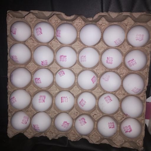 عکس دفتر توزیع و فروش تخم‌ مرغ حبیبی