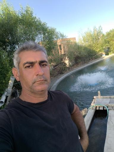 عکس پرورش ماهی داود رستم زاده
