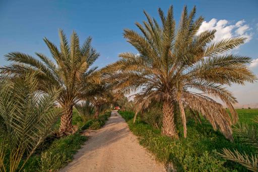 عکس رامهرمز