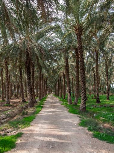 عکس رامهرمز