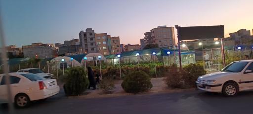 عکس نمایشگاه گل و گیاه پیش قدم