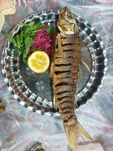 عکس رستوران ماهی میثم