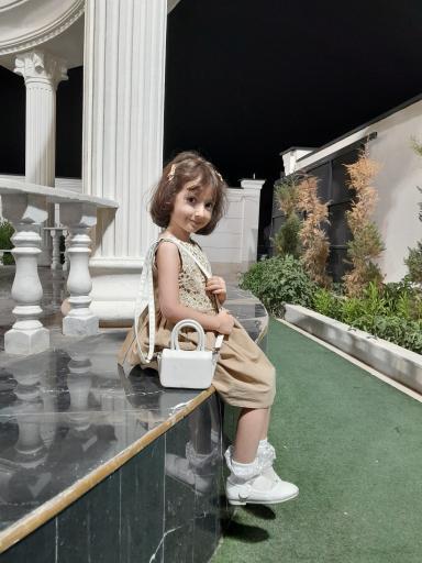 عکس عمارت شاهان 