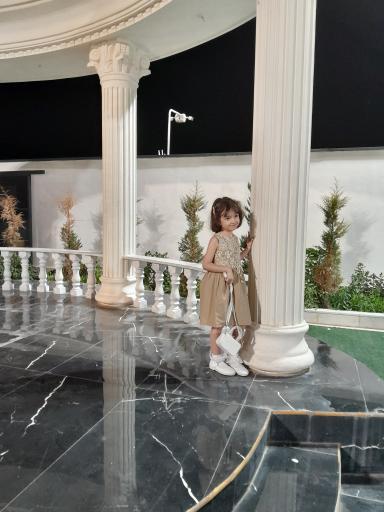 عکس عمارت شاهان 