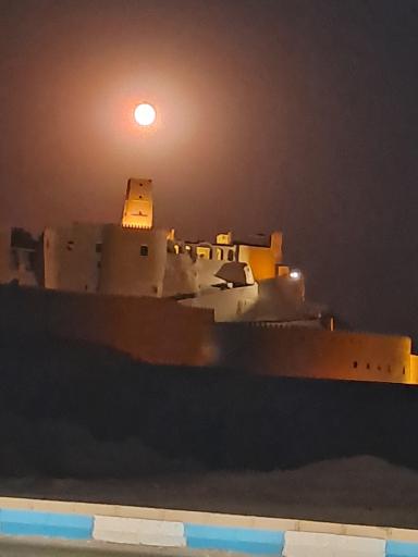 عکس ارگ تاریخی بم