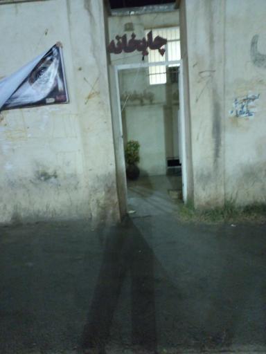 عکس سفره خانه سنتی تک درخت