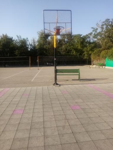 عکس زمین بسکتبال 