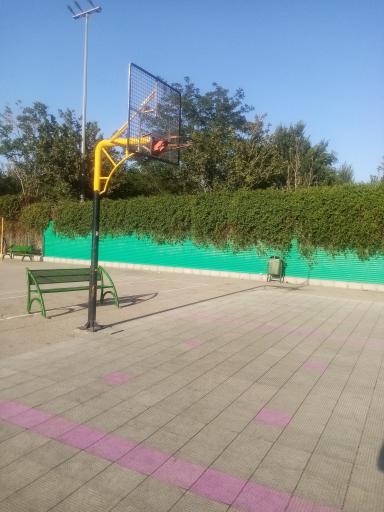 عکس زمین بسکتبال 