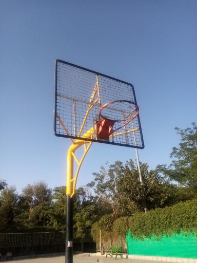 عکس زمین بسکتبال 