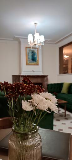 عکس کافه هنگام