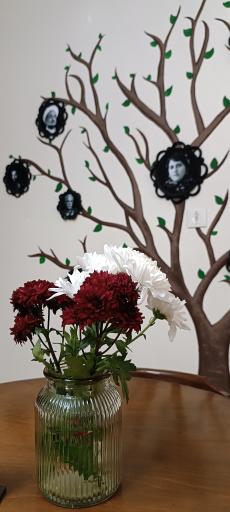 عکس کافه هنگام