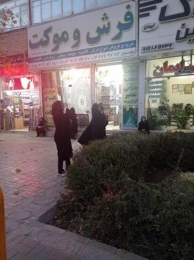 عکس فرش و موکت موسوی 