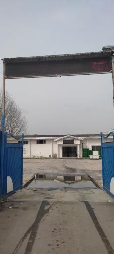 عکس جوجه کشی فردوس