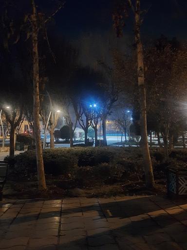 عکس بوستان هامون