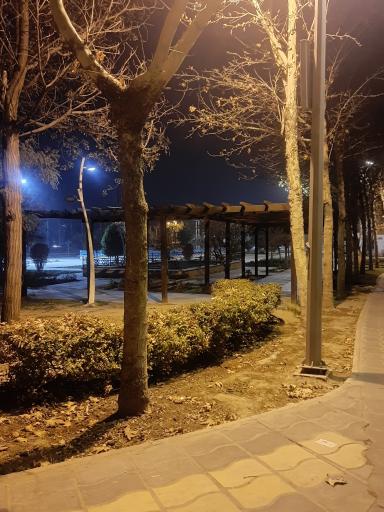 عکس بوستان هامون