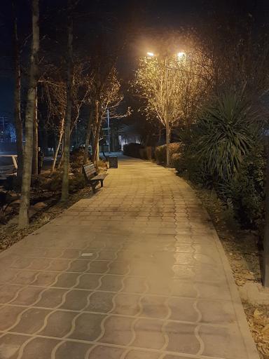 بوستان هامون