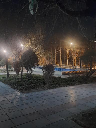 عکس بوستان هامون