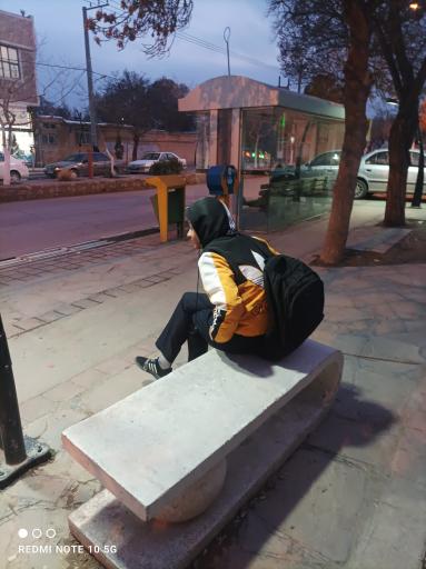 عکس امام رضا  14